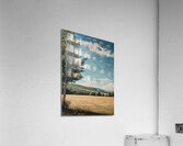 Peaceful Nature Acrylic Print