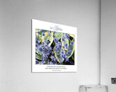 LES BIBITTES 6 Acrylic Print