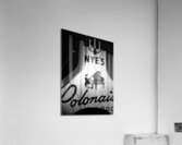 nyes polonaise room  vertical 1711 Polonaise 13k. Acrylic Print