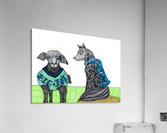 Sheep in wolfs clothing Acrylic Print