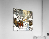 Woodlands North  Acrylic Print