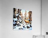 Woodlands Alberta  Acrylic Print