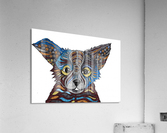 Ear pup Acrylic Print