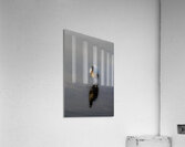 Reflecting feathers Acrylic Print