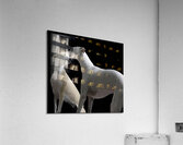 Dog lovers Acrylic Print