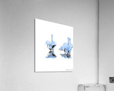 Feathered backs Acrylic Print