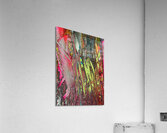 Merdillos Acrylic Print