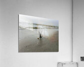 Holden Beach Foggy Morning Acrylic Print