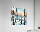 Winter Birch Morning Acrylic Print