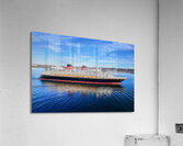 Disney Wonder In San Diego Acrylic Print