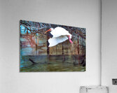 BZ9 4601 Enhanced NR Acrylic Print