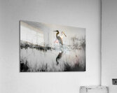 BZ9 3925 Enhanced NR Acrylic Print