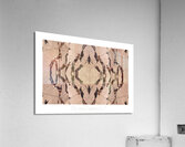 OU EST FRANCIS   Acrylic Print