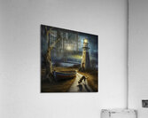 HIGH AND DRY Acrylic Print
