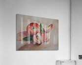 Peaches Acrylic Print
