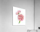 Watercolor Flower Minimalism PNG 20 Acrylic Print