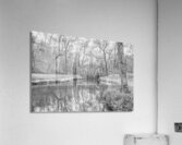 Stone Arched Bridge Reflections Grayscale Acrylic Print