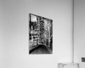 Frankfurt Sycamore Tunnel Black and White Acrylic Print