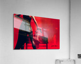 Garter Startled   Acrylic Print