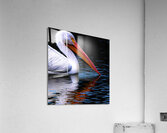 BZ9 5848 Enhanced NR 2 Acrylic Print