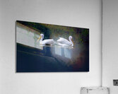 BZ9 7780 Enhanced NR Acrylic Print