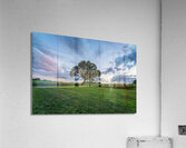 Oak Tree Farm Sunset Acrylic Print