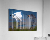 09052023 birds 38 Enhanced NR 2 Acrylic Print