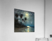 palm trees and moon at night Acrylic Print