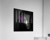 Gerbera Gaze Acrylic Print