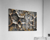 Stress Acrylic Print