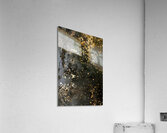 Droplets Acrylic Print