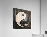 Yang Abstract 9 Acrylic Print