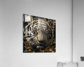 Tiger  Golden Glow 4 Acrylic Print