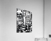 Nocturnal Harmony 8 Acrylic Print