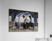Powerhouse Momma Acrylic Print