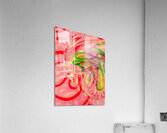 Heart Connection Acrylic Print