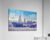WASP Docking Acrylic Print