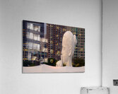 Hush Acrylic Print