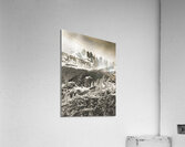 Yosemite Snow Hillside in Sepia Acrylic Print