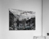 Walked in Love Poem Acrylic Print