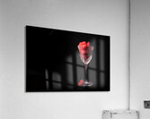 Raspberries in a Wine Glass  Acrylic Print