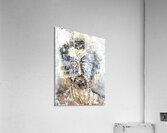 far 18  x15 Acrylic Print