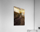 Huntington Beach Wetlands  Acrylic Print