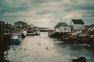 [Nova Scotia] Peggys Cove