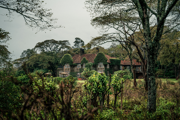 [Kenya] Giraffe Manor  by Caleb Crombie