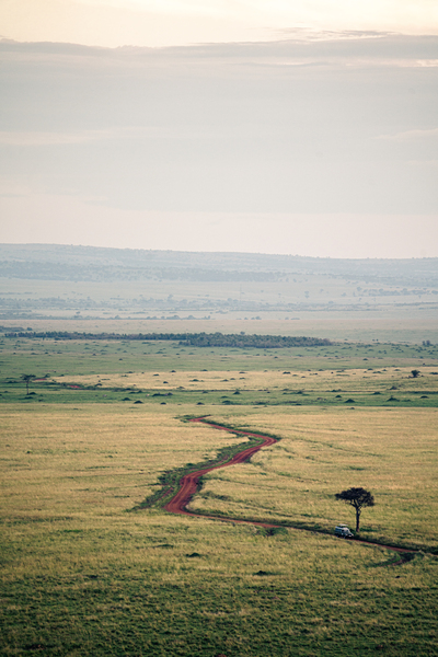 [Kenya] Massai Mara  by Caleb Crombie