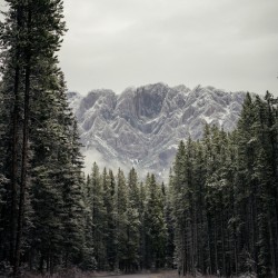 [Alberta] Kananaskis country 