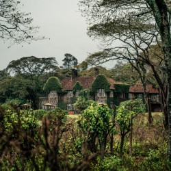 [Kenya] Giraffe Manor 