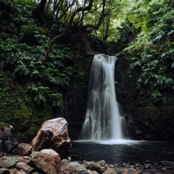 [Azores] Salto de Prego Waterfall