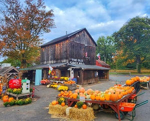 10Oct Old Cider Mill